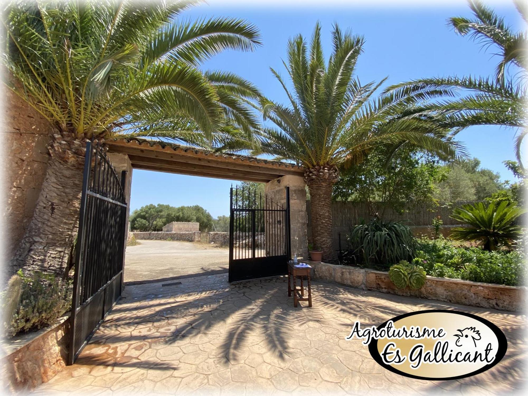 Agroturismo Es Gallicant Campos  Exterior photo