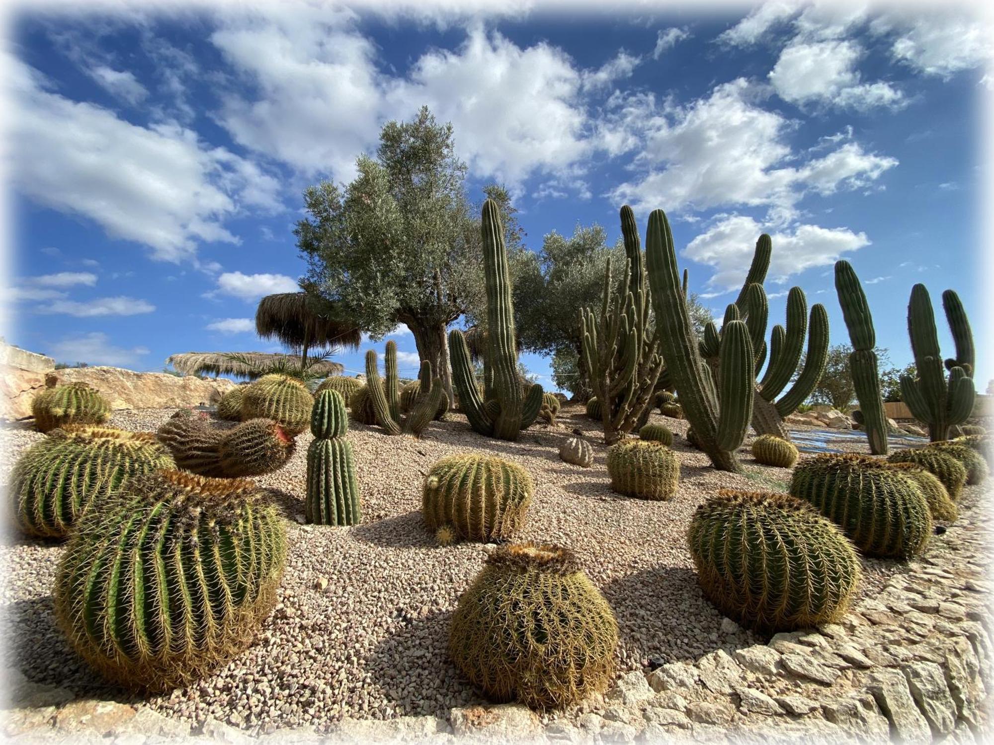 Agroturismo Es Gallicant Campos  Exterior photo